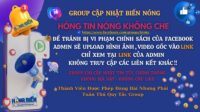 HÓNG HỚT KHÔNG CHE